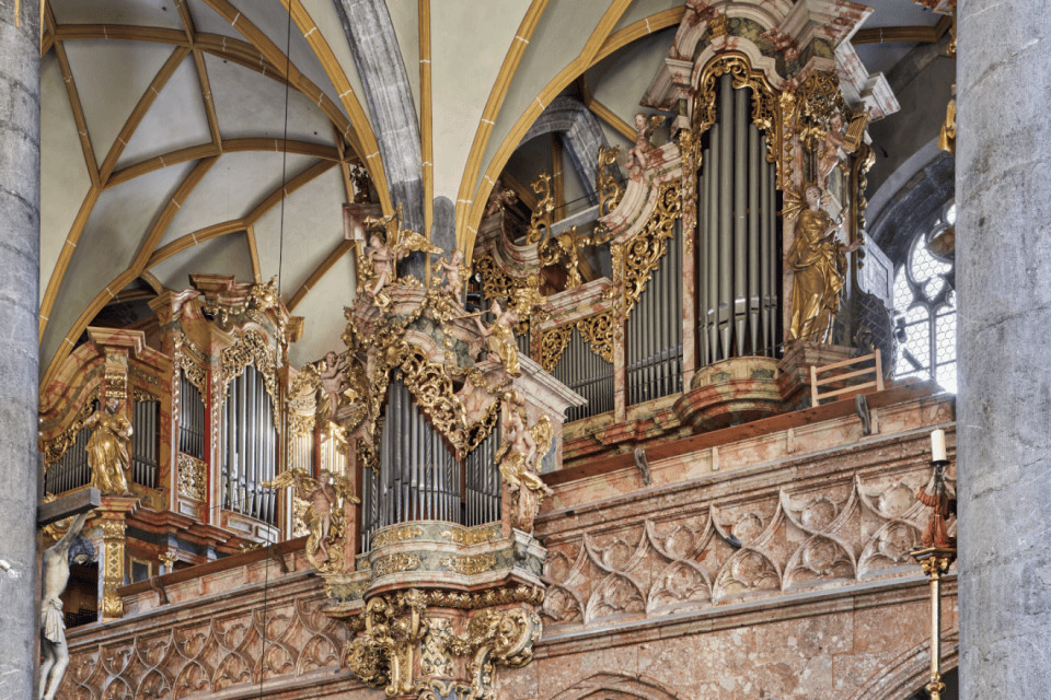 The largest organ in Tirol (AT)